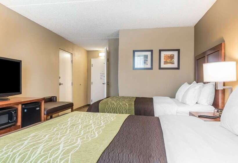 בית מלון כפרי Comfort Inn & Suites Piquanear Troyi75