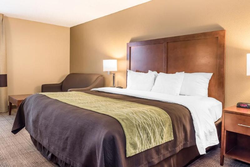 בית מלון כפרי Comfort Inn & Suites Piquanear Troyi75