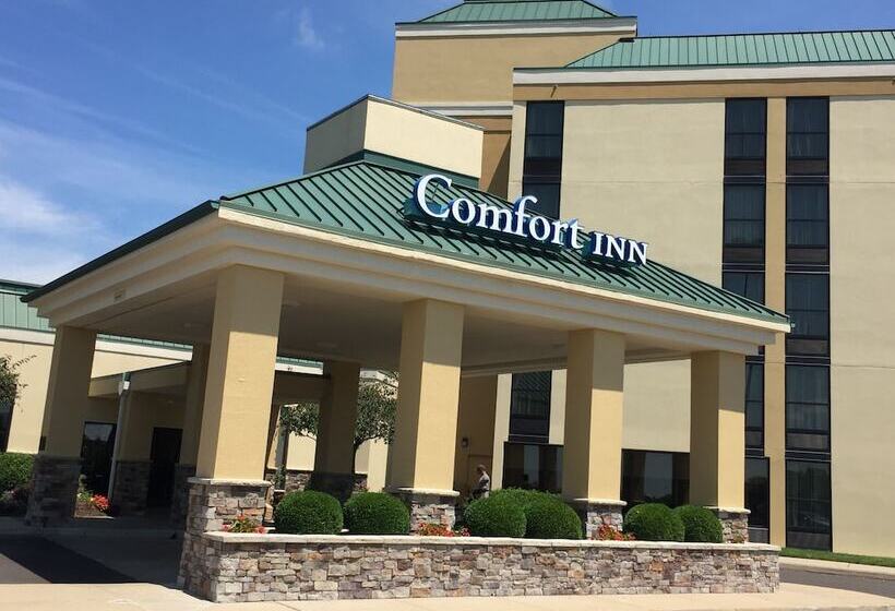 בית מלון כפרי Comfort Inn & Suites Piquanear Troyi75