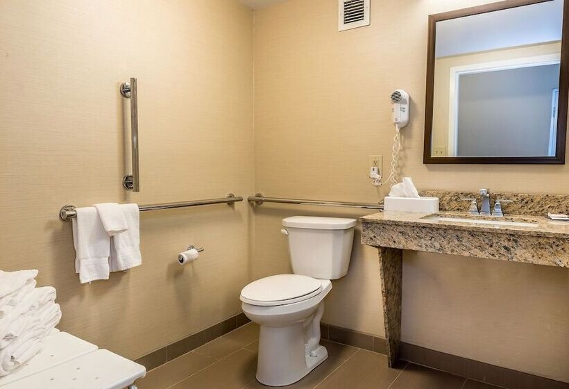 בית מלון כפרי Comfort Inn & Suites Piquanear Troyi75