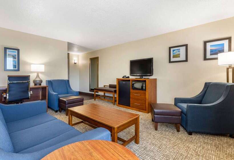 هتل Comfort Inn University