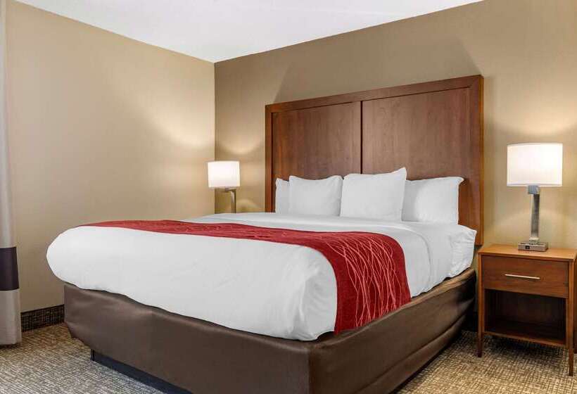 هتل Comfort Inn University