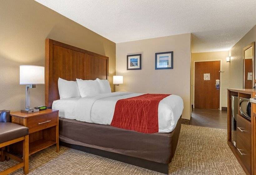 هتل Comfort Inn University