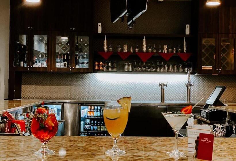 בית מלון כפרי Crowne Plaza Chicago Sw   Burr Ridge, An Ihg