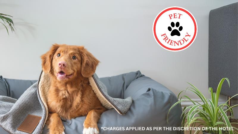 Oyo Hotel Wade/fayetteville I 95 South