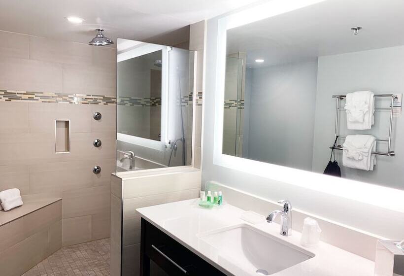 هتل Holiday Inn University Area Charlottesville, An Ihg
