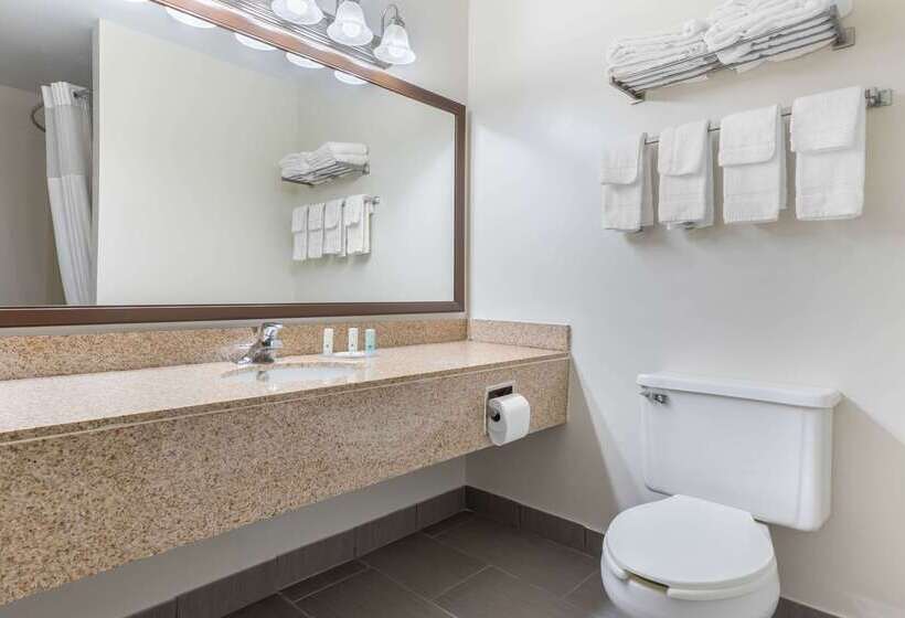 Отель Quality Inn
