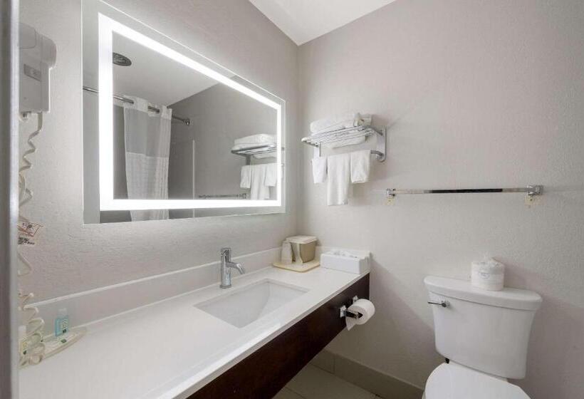 酒店 Quality Inn University Area