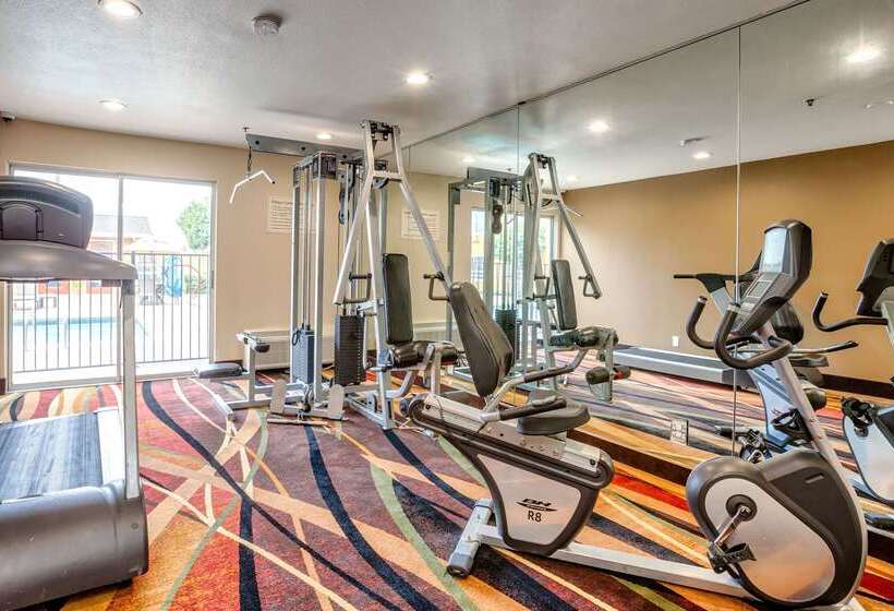 ホテル Quality Inn Near Six Flags Discovery Kingdomnapa Valley