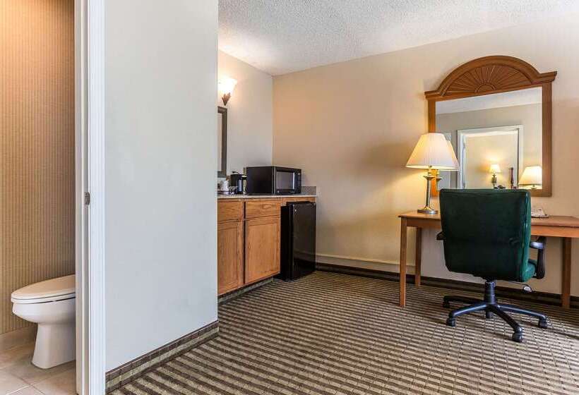 ホテル Quality Inn & Suites