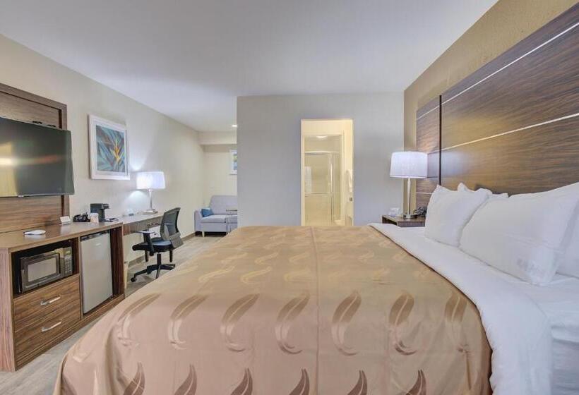 فندق Quality Inn & Suites