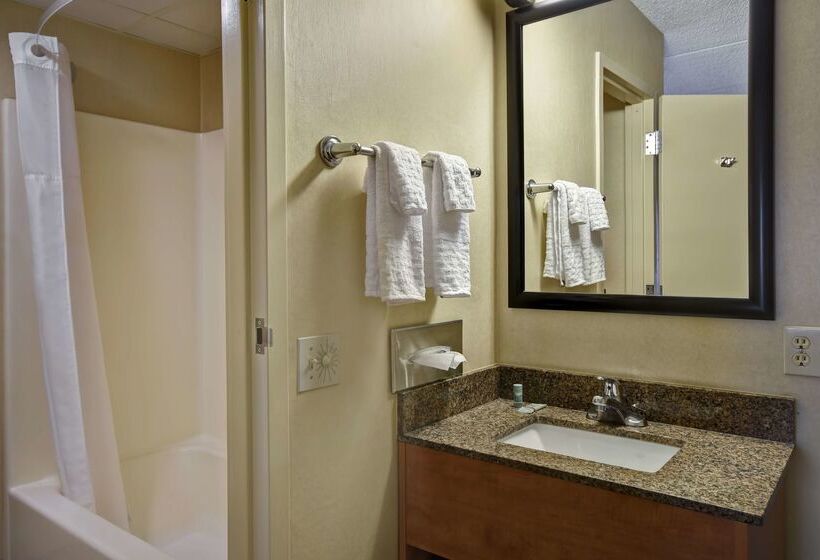 هتل Best Western Rochester Marketplace Inn