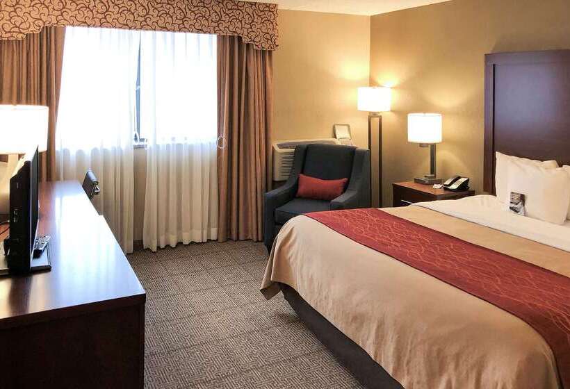 ホテル Comfort Inn