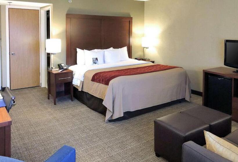 ホテル Comfort Inn