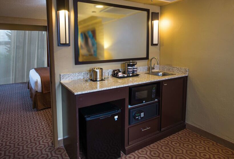 בית מלון כפרי Doubletree Suites By Hilton Tucson   Williams Center