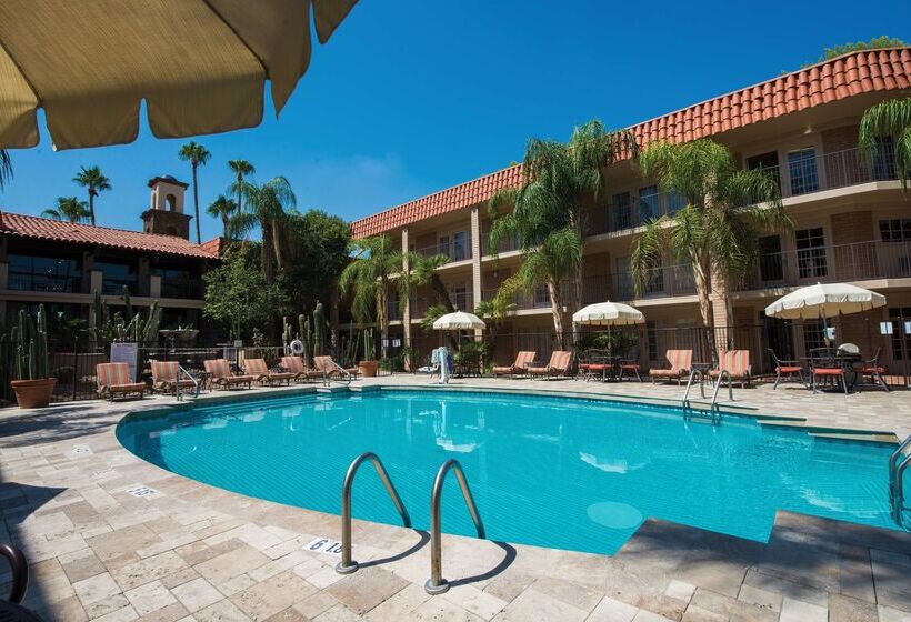 בית מלון כפרי Doubletree Suites By Hilton Tucson   Williams Center