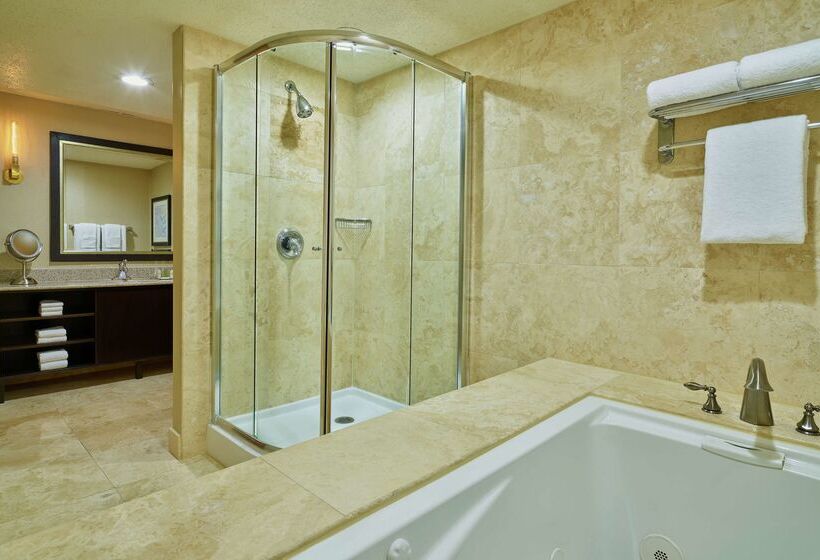 בית מלון כפרי Doubletree By Hilton Houston Intercontinental Airport