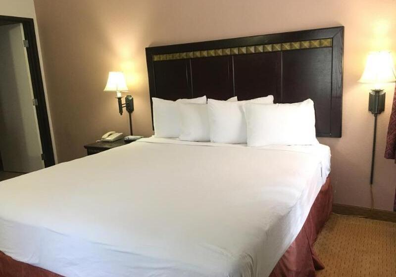 هتل Downtown San Diego Lodge