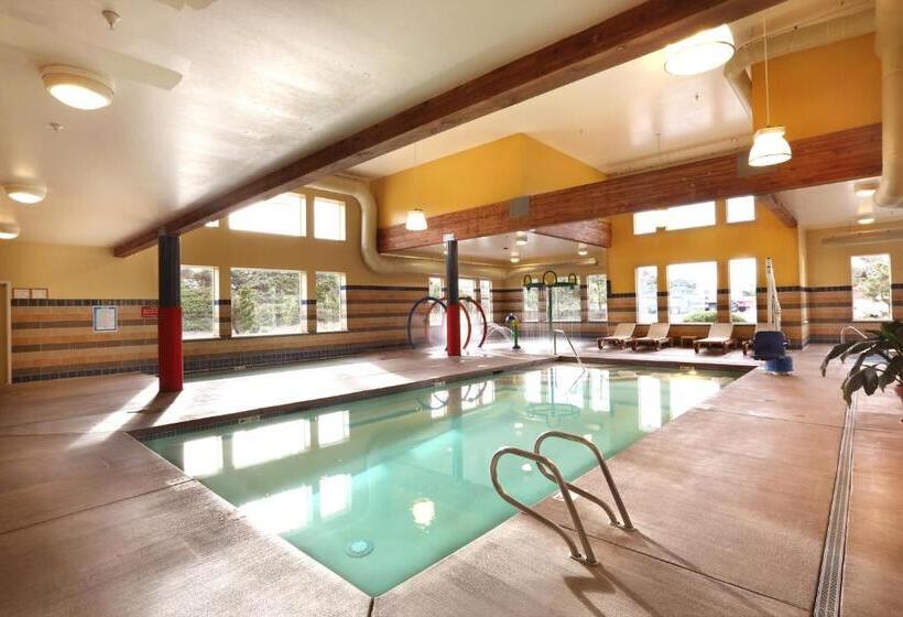 호텔 Driftwood Shores Resort