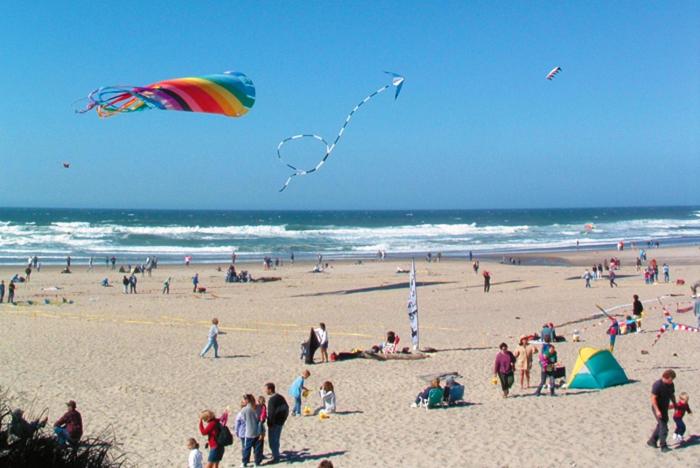 호텔 Driftwood Shores Resort