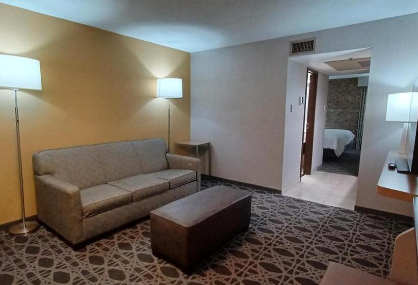בית מלון כפרי Holiday Inn   Mcallen   Medical Center Area, An Ihg