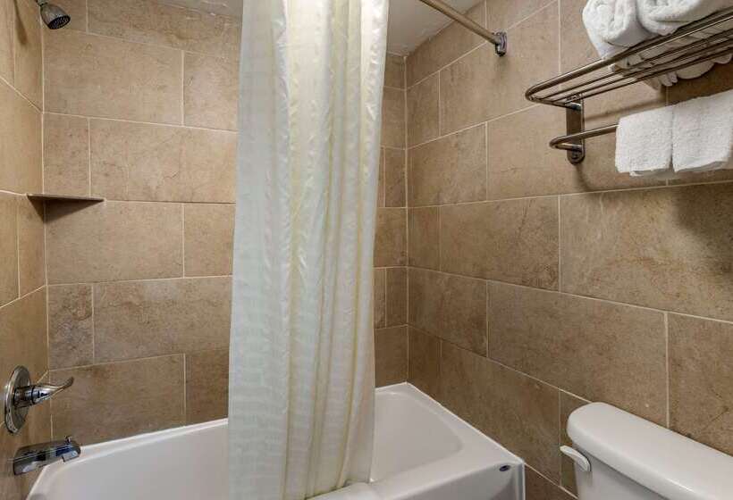 هتل Econo Lodge North Charlottesville