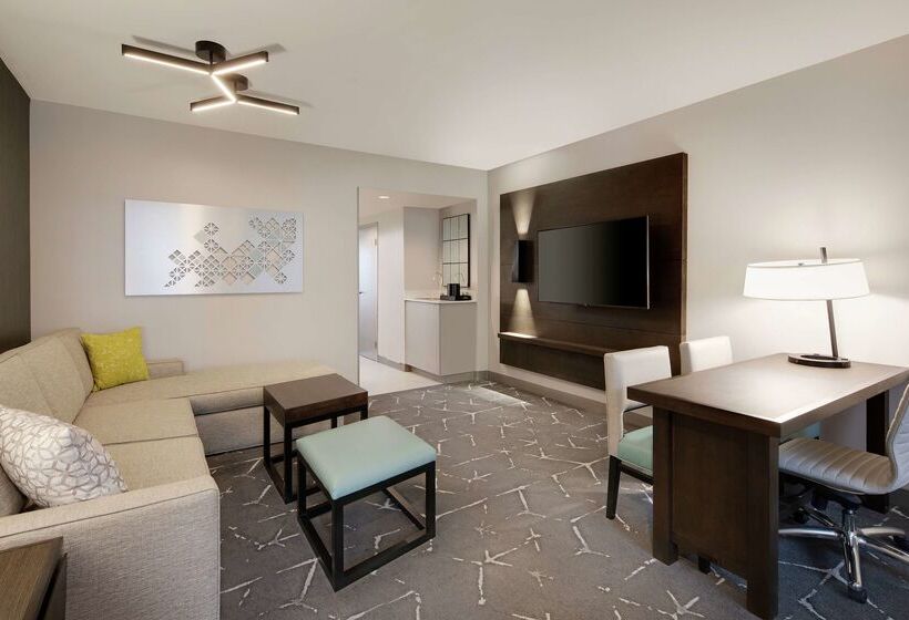 هتل Embassy Suites By Hilton Atlanta Perimeter Center