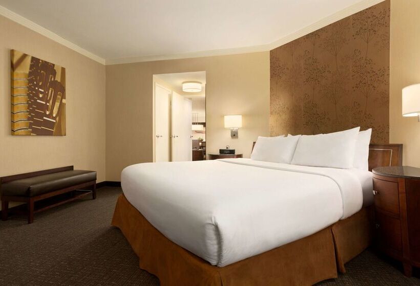 Отель Embassy Suites By Hilton Austin Downtown South Congress