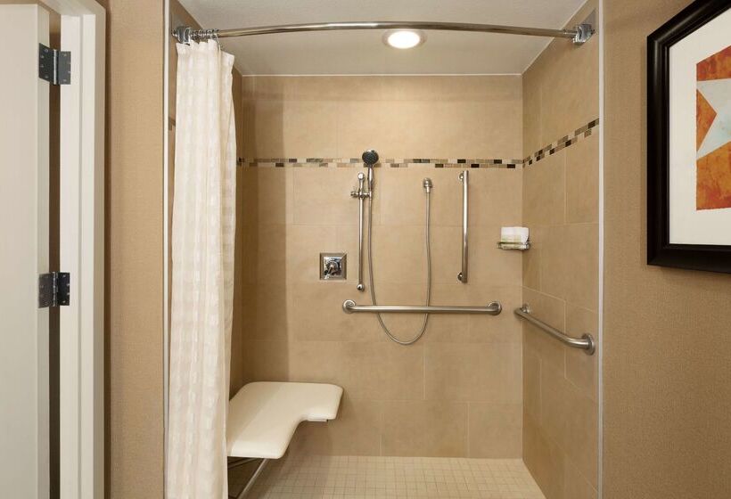 Отель Embassy Suites By Hilton Austin Downtown South Congress