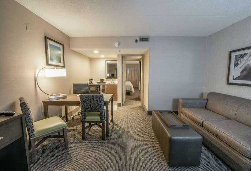 هتل Embassy Suites By Hilton Chicago Schaumburg Woodfield