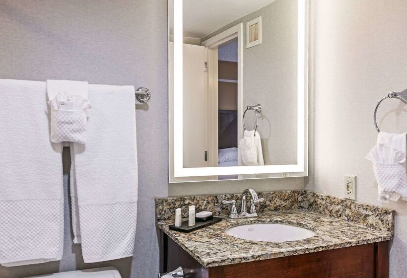 בית מלון כפרי Embassy Suites By Hilton Dallas Market Center