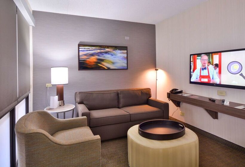 هتل Embassy Suites By Hilton Denver Central Park