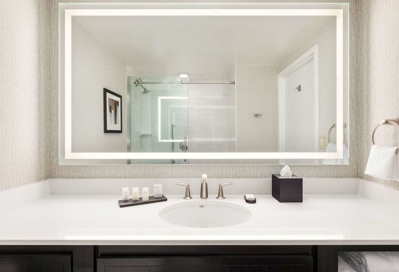 فندق Embassy Suites By Hilton Irvine Orange County Airport