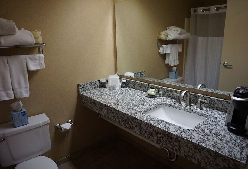 호텔 Findlay Inn And Conference Center