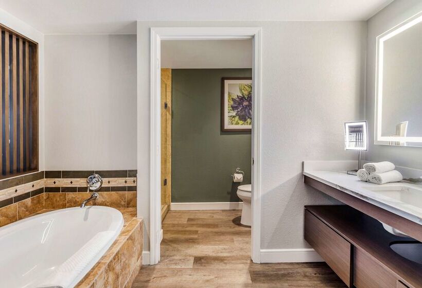 هتل Hilton Grand Vacations Club Flamingo Las Vegas