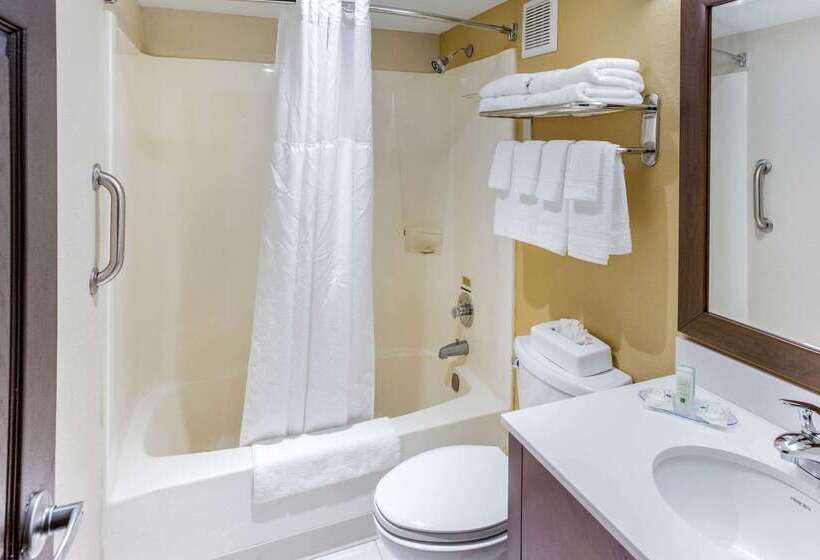 فندق Quality Inn & Suites