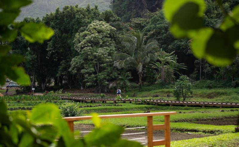 Hanalei Colony Resort