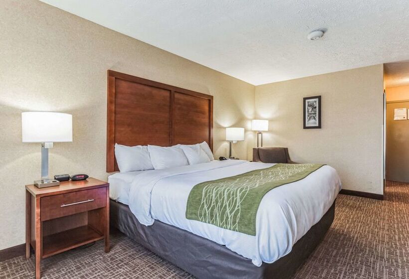בית מלון כפרי Comfort Inn Grantsvilledeep Creek Lake