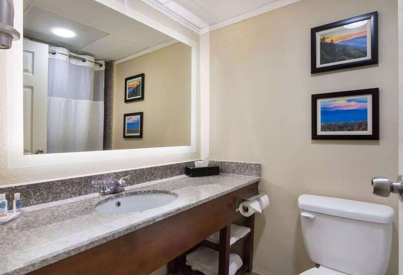 בית מלון כפרי Comfort Inn