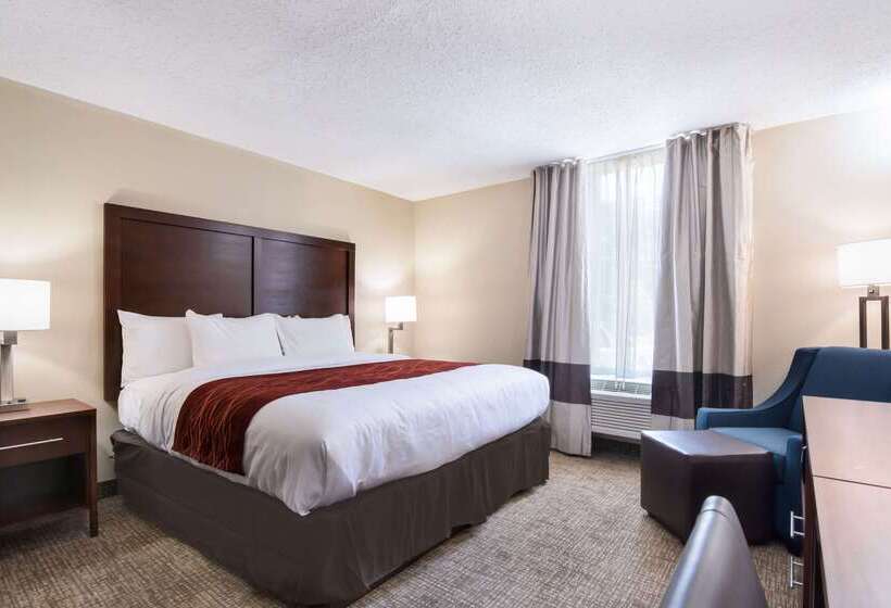 酒店 Comfort Inn