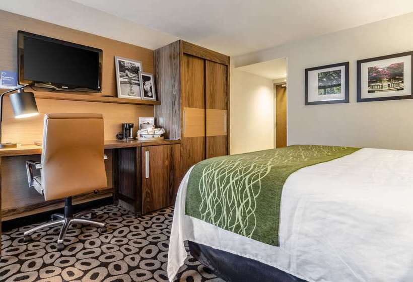 בית מלון כפרי Comfort Inn Raleigh Midtown