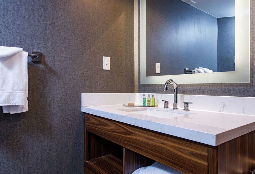 هتل Doubletree By Hilton Appleton