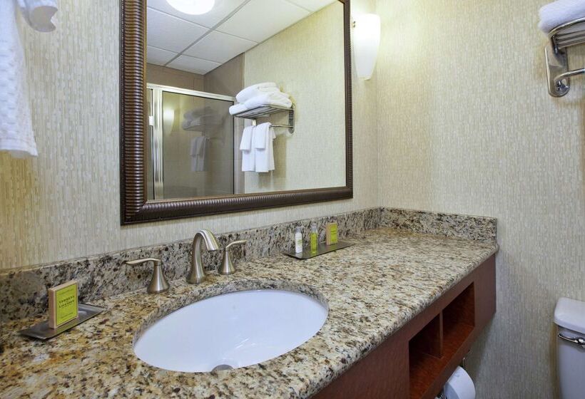 בית מלון כפרי Doubletree By Hilton Holland