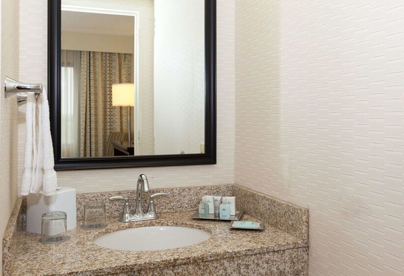 Doubletree By Hilton Houston Medical Center Hotel & Suites