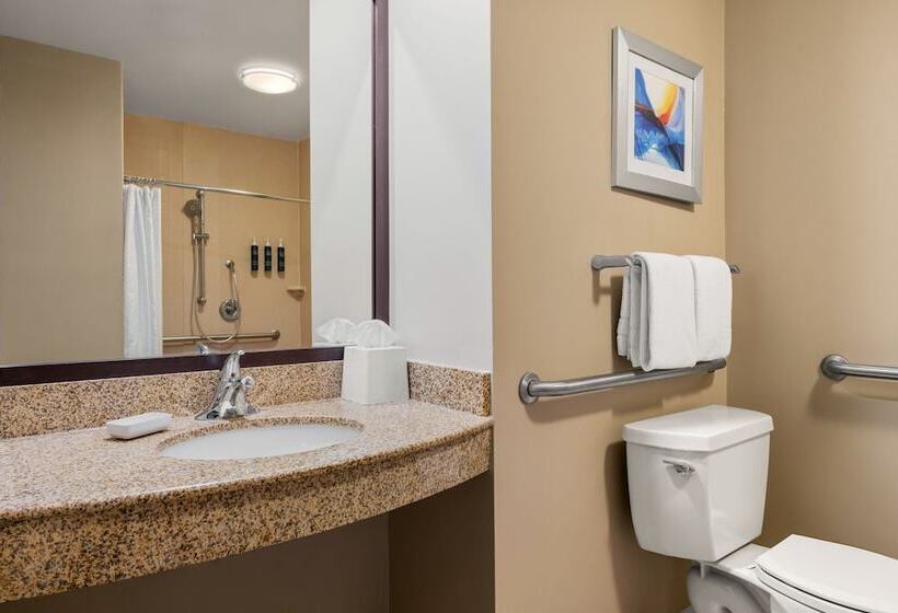 酒店 Four Points By Sheraton Chicago Westchester/oak Brook
