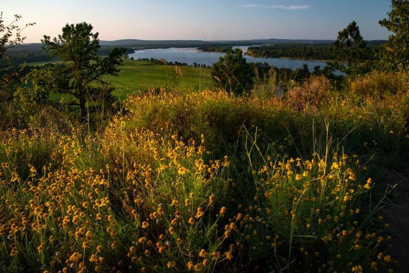 هتل Four Points By Sheraton Little Rock Midtown