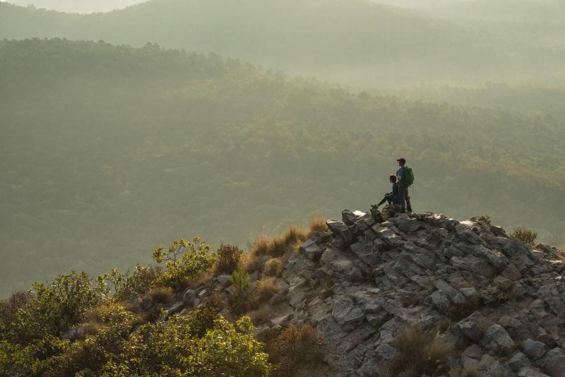 هتل Four Points By Sheraton Little Rock Midtown