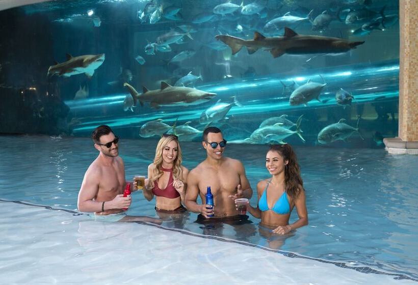 Golden Nugget Hotel & Casino Las Vegas