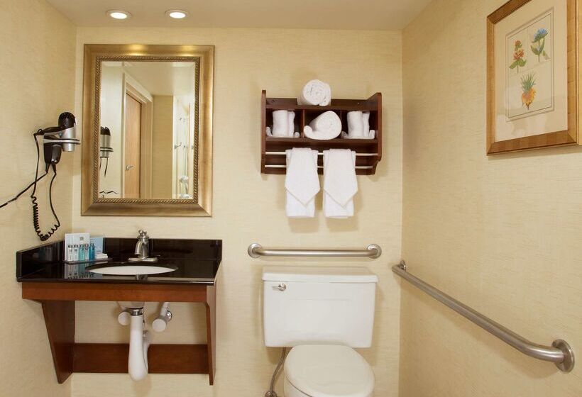 هتل Hampton Inn Alexandria/pentagon South