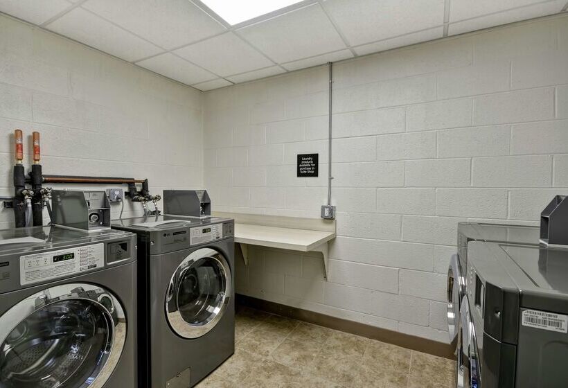 בית מלון כפרי Hampton Inn Detroit/madison Heights/south Troy